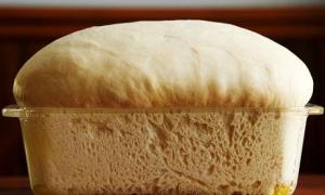 Yeast: ano ang, interchangeability, how to breed Anong istraktura mayroon ang yeast fungi
