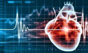 Paano ginaganap ang echocardiography ng puso: pamamaraan, indikasyon, interpretasyon