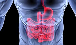 Simptomi in zdravljenje motenj gastrointestinalnega trakta Kaj pomeni gastrointestinalni trakt
