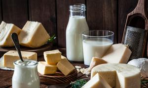 Zasvojenost s hrano: sir in mleko