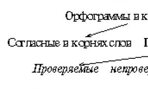 Буквы а и о в корнях -кас