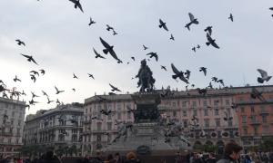 Katere znamenitosti so v Milanu in kaj si je vredno ogledati?