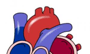 Auskultácia srdca a krvných ciev