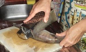 How to cut a large catfish