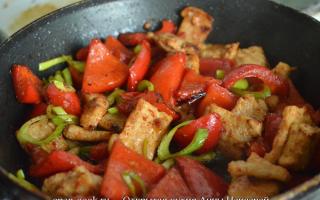 Recept: Bravčové mäso s paprikou v sójovej omáčke - dusené Vyprážané mäso s paprikou a cibuľou