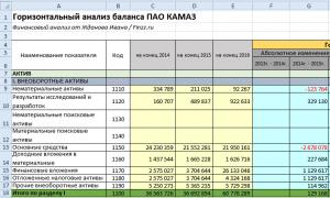 Analiza finančnega stanja organizacije na primerih