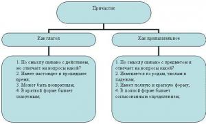 Предложения с причастным оборотом, примеры