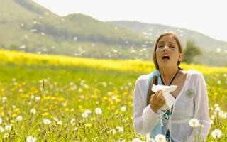 What does sun allergy look like in adults and children?